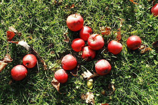 Red and Green