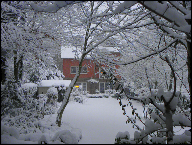 Red Riding Hoods Home