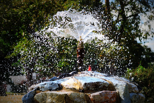 IMG 8339-001-Fountain Swirl