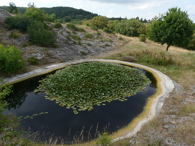 20230716 Lavogne Blandas (1)