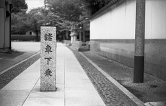 All vehicles alight All vehicles alight