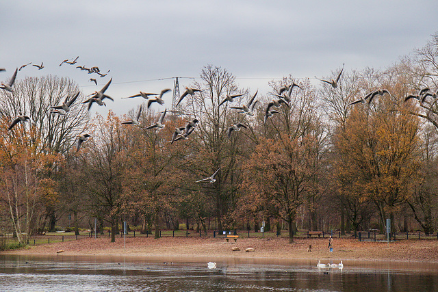 Ruhe am anderen Ufer