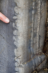 Load structures on turbidite sandstones, Crooklets, near Bude, Cornwall