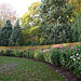 Anglesey Abbey 2013-11-08