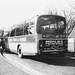 Percivals Coaches 81 (LWL 745W) at Mildenhall - Saturday 13 April 1985 (15-51)