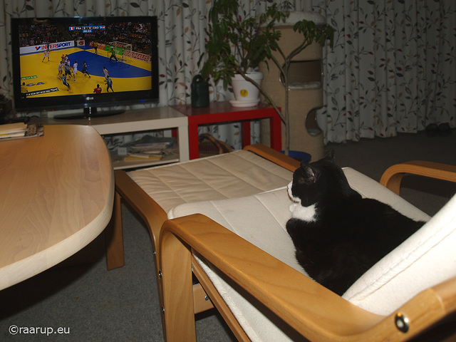 Snow White watching handball from favourite chair, 1