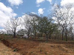 Astilerro cemetery