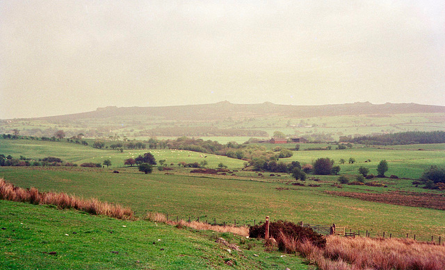 Looking back to the Stiperstones from near Grit Hill (scan from 1996)