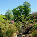 water from Middle Moor