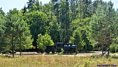 Forest Railway of the Białowieża Forest