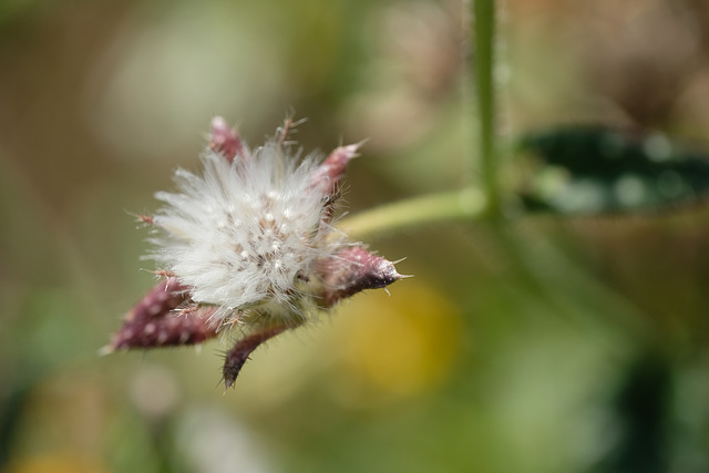 DSCF9028