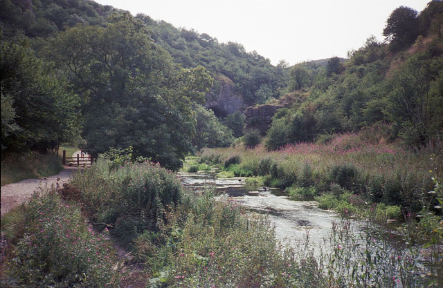 Looking downstream along the River Dove towards Dove Holes (Scan from August 1989)