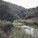 Looking downstream along the River Dove towards Dove Holes (Scan from August 1989)