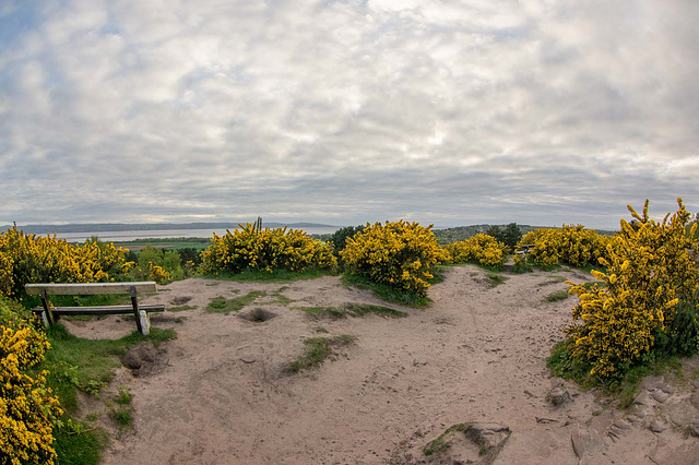 Thurstaston Common.5jpg