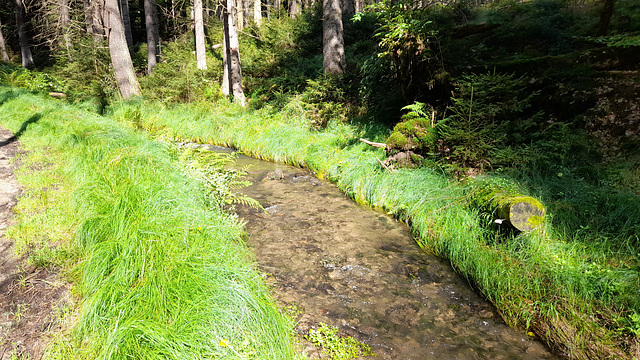 Hinterhermsdorf 0 (15)