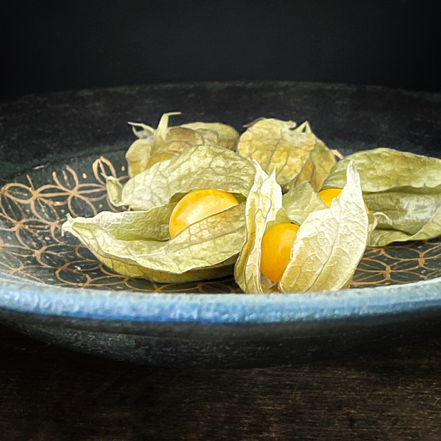 physalis 3