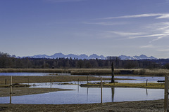 im Natuschschutzgebiet Neeracherried (© Buelipix)