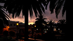 palma (23)