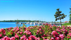 Geburtstagsausflug nach Rerik