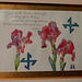 Watercolour - irises and swastika symbols