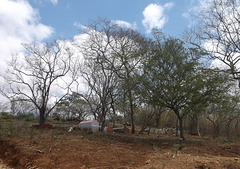 Cimetière nicaraguayen.