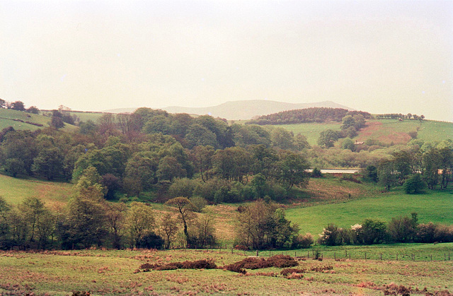 Looking over Shelve Pool towards Corndon Hill from Grit Hill (scan from 1996)