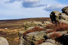 Worm Stones Rocks