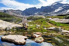 The Alpine Gardener