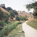 Looking upstream along the River towards Milldale (Scan from August 1989)