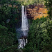 Opposite Fitzroy Falls