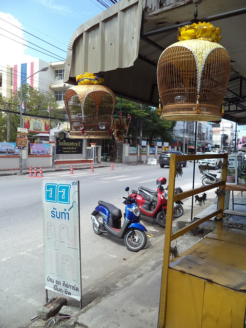 Deux cages inhabitée / Two unoccupied cages