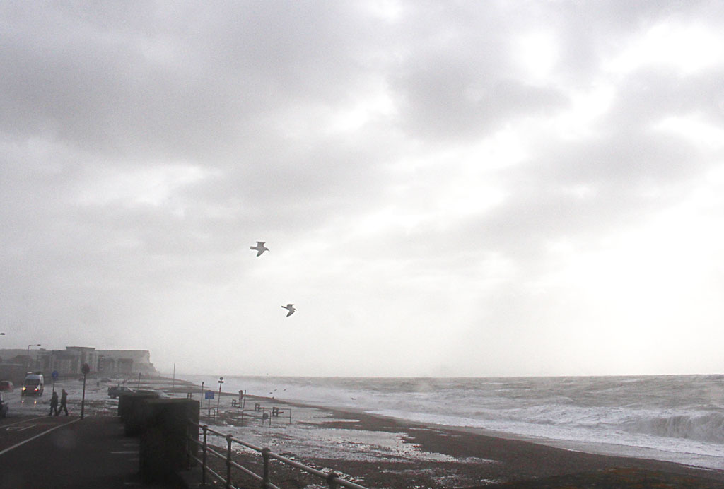 Gulls go fishing in storm Imogen - Seaford - 8.2.2016