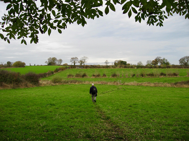 The footpath northward in the fields above Weaverslake, near Yoxall