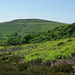 Lantern Pike from Middle Moor