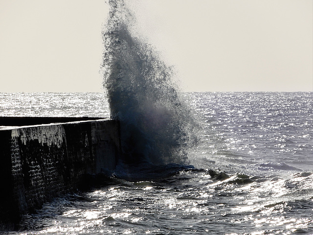 la mer a toujours quelque chose à dire,,