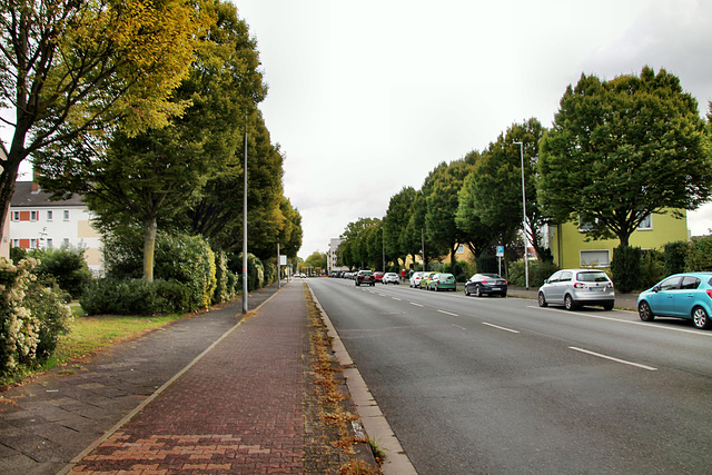 Homberger Straße (Moers) / 3.10.2022