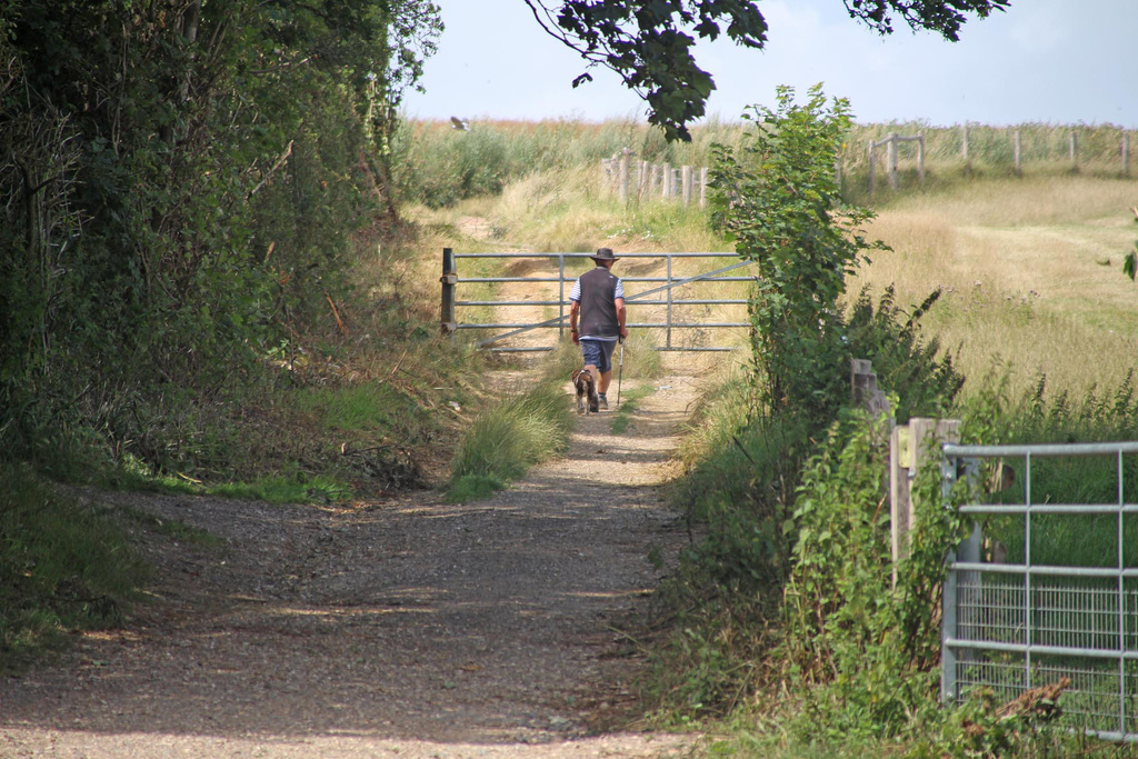 One man and his dog - Seaford 13 7 2023