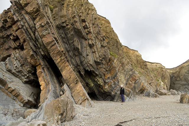 Syncline, Wrangle Point, near Bude, Cornwall