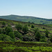 Cracken Edge from Middle Moor