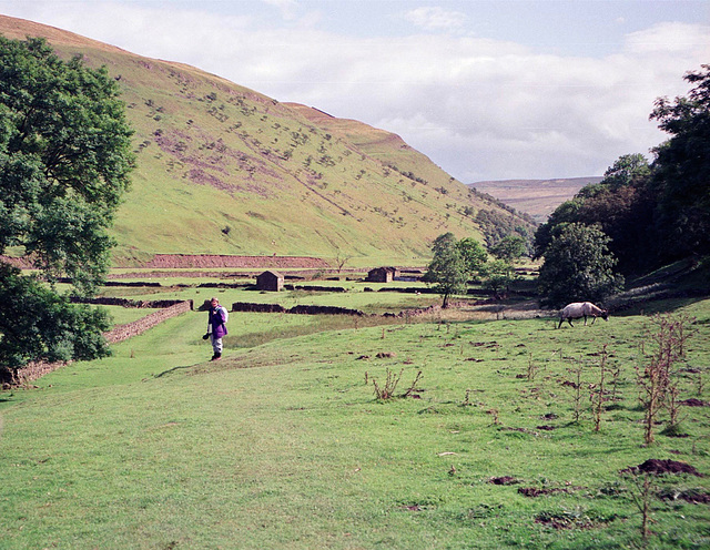 Looking southward along the River Swale towards Mucker, from opposite Swinner Gill