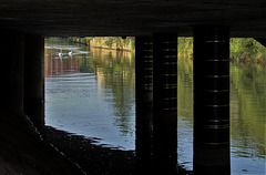 Down By The River