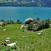 Walensee 04.06.22