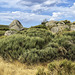 Rochers sur le plateau du Tanargue.