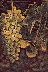 Muscat de Rivesaltes