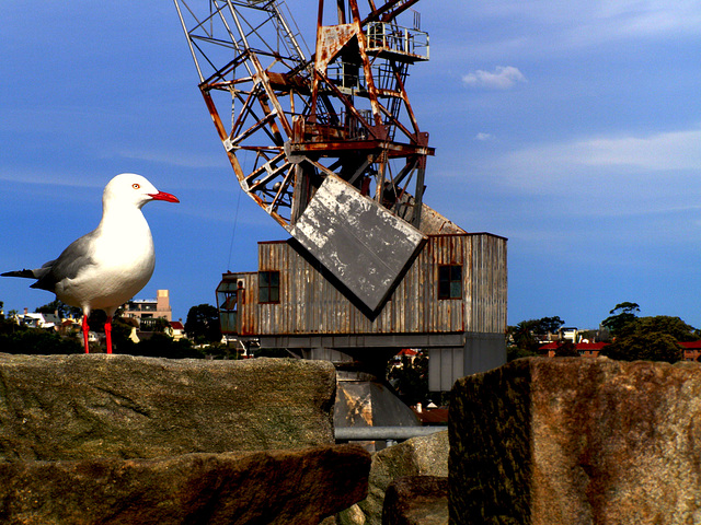 Cockatoo Island