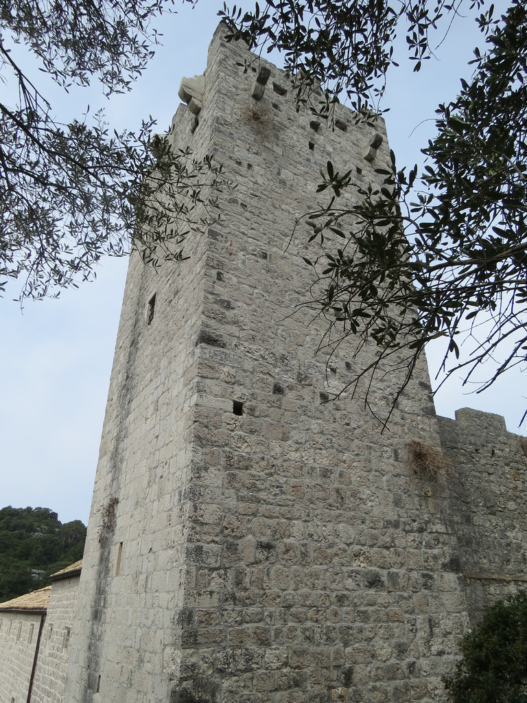 Monastère Saint-Marie, 11.