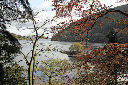 Framed by beech