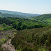 Middle Moor to Little Hayfield ( Park Hall)