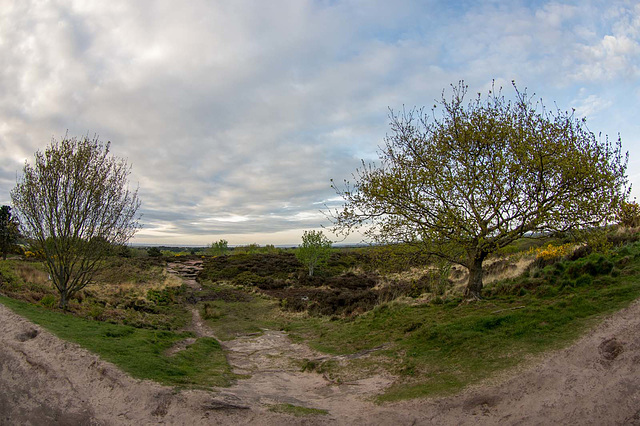 Thurstaston Common