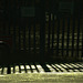 In The Rain. At The Petrol Pumps. Beside The Car Wash